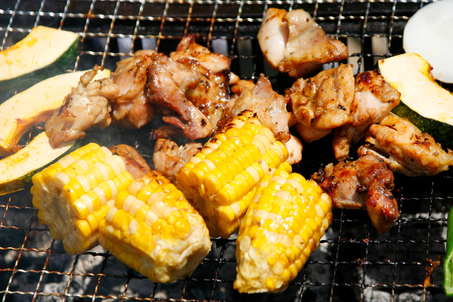 BBQ2-1
