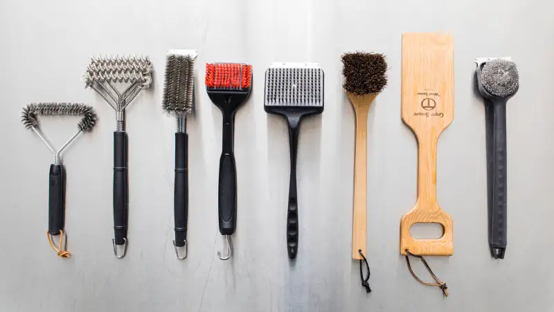 BRISTLEFREEBRUSH2
