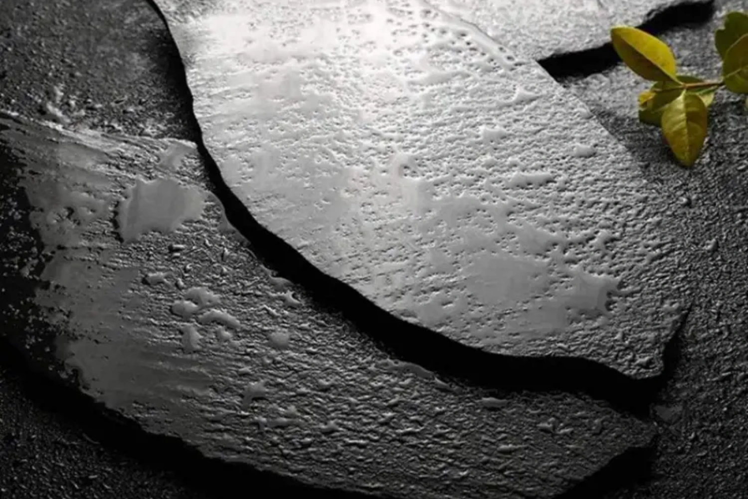 Leaves-Shaped-Steak-Plate-Slates1