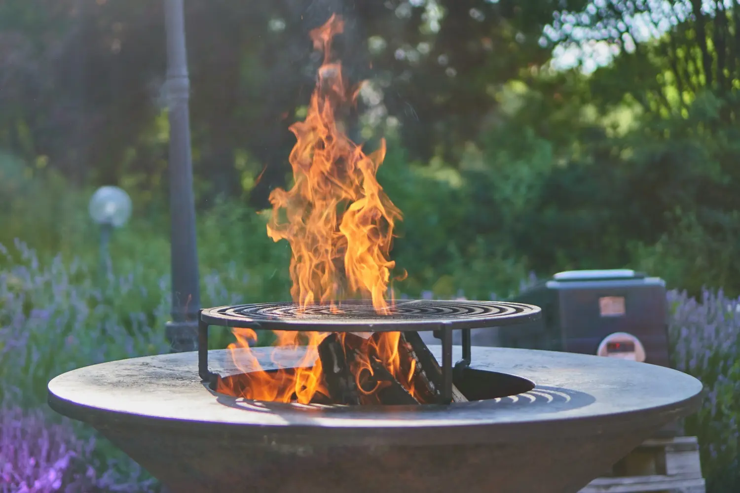 Outdoor Barbecue
