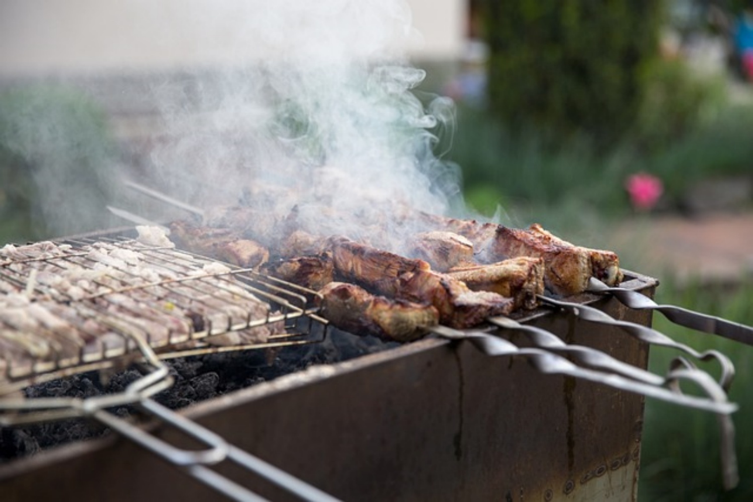 bbq