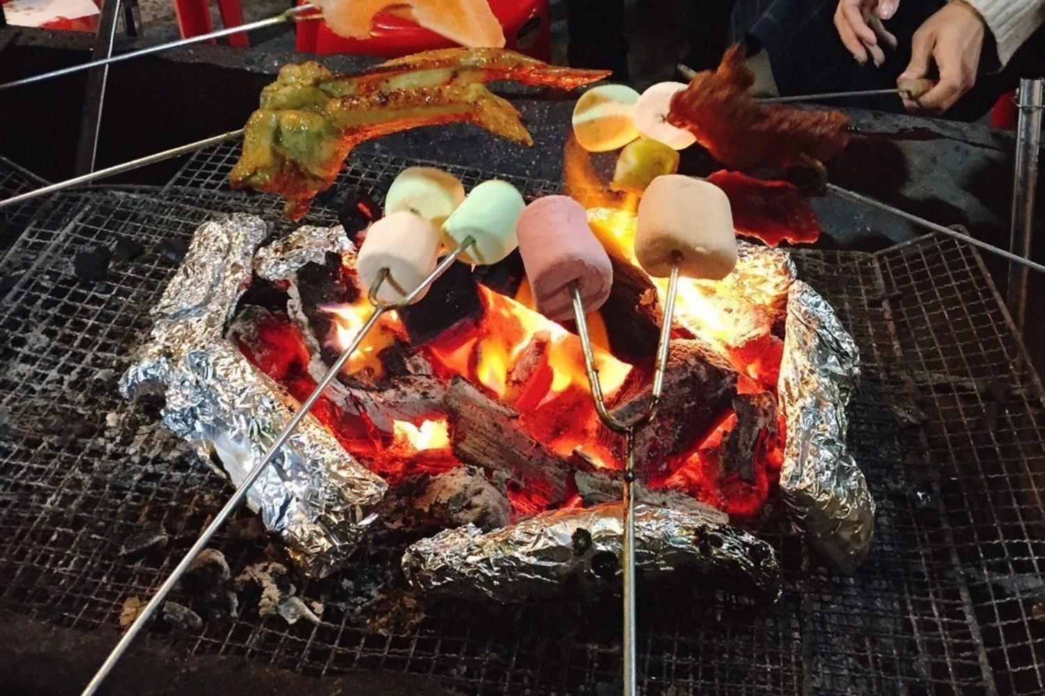 bbq